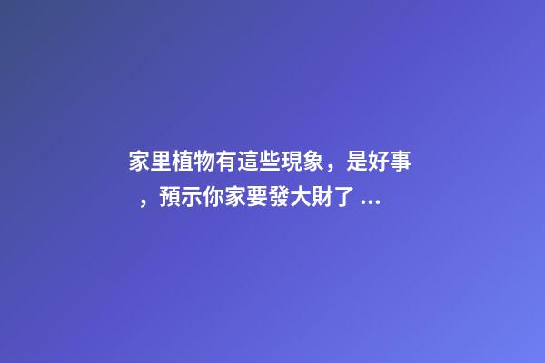 家里植物有這些現象，是好事，預示你家要發大財了！